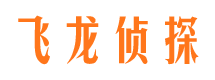 廉江婚外情调查